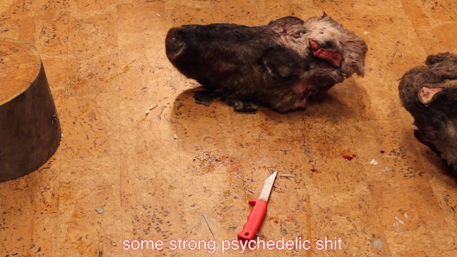 http://www.carlgiffney.com/files/gimgs/th-61_61_irdft-69.jpg