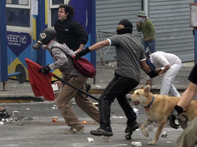 http://www.carlgiffney.com/files/gimgs/th-10_10_0507greekdog.jpg