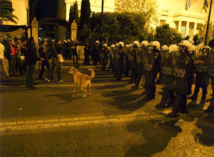 http://www.carlgiffney.com/files/gimgs/th-10_10_athensriotdog.jpg