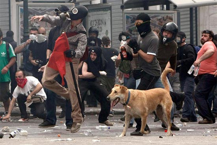 http://www.carlgiffney.com/files/gimgs/th-10_10_athensriotdog2.jpg