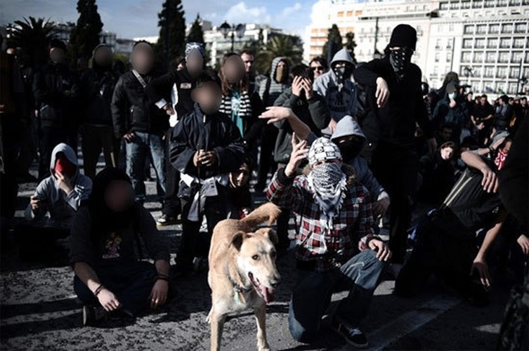 http://www.carlgiffney.com/files/gimgs/th-10_10_dog-2.jpg