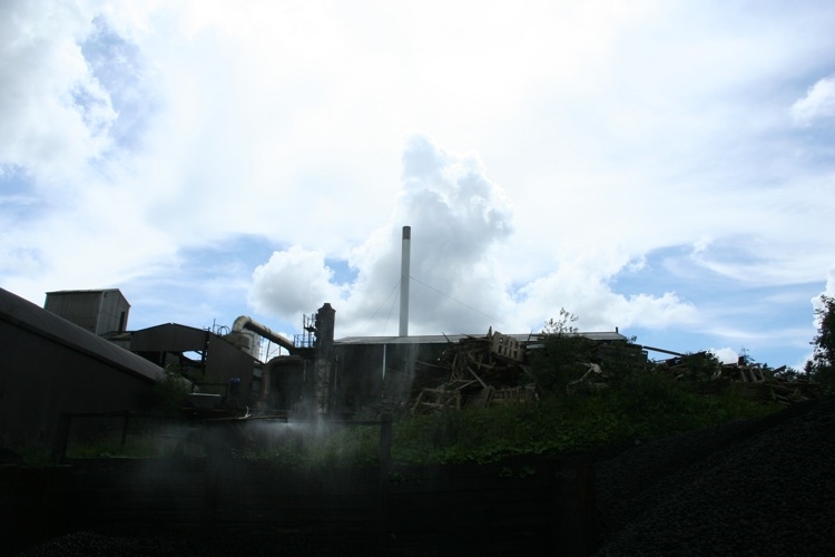 http://www.carlgiffney.com/files/gimgs/th-20_20_arigna-c.jpg